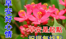 早上好视频大全,精选“早上好”视频大全